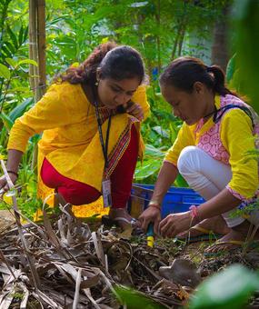 volunteering - permaculture